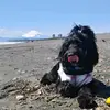 Lisa ３ - @lisamurata2 - TikTok