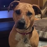 Lisa Musil - @lmusil65 - Instagram