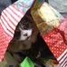 Lisa Motz - Facebook