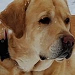Lisa Napier - @lleakey.65 - Instagram