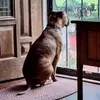Lisa Napier - @lisa.napier03 - TikTok