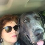 Lisa Napier - @lisa.napier.77 - Instagram