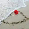 Lisa Napier - @lisanapier1 - TikTok