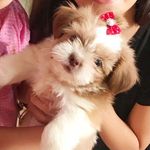 Lisa - @lisanerytiba - Instagram