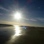 Lisa Newbold - @lnewbold - Instagram