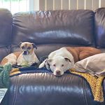 Lisa Newbolds - @lisanewbolds - Instagram