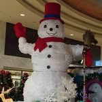 Lisa Ney DeYoung - @lisadeedee3 - Instagram