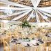 Lisa-Nice Events Design &amp; Hire - Facebook