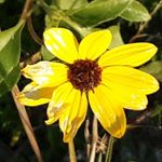Lisa Nock - @lisa.nock.31 - Instagram