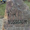 Lisa Nussbaum - @lisanussbaum - TikTok