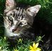 Lisa Nuttall - Facebook