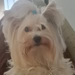 Lisa Nuttall - @nuttalldavid21 - Instagram