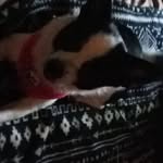 Lisa Nystrom - @lisa.nystrom.752 - Instagram