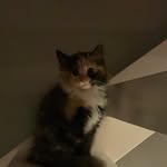 Lisa Nyström - @nystrom.lisa - Instagram