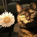 Lisa Ober - Miller - Facebook