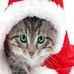 Lisa Oerman - Facebook
