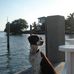 Lisa Oien - Facebook