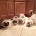 Lisa Oldfield - Facebook