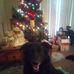 Lisa Oldfield - Facebook