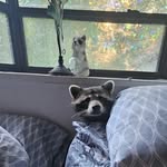 Lisa Oldfield - @lisaj1274 - Instagram
