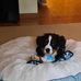 Lisa Oldfield - Facebook