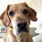Lisa oldfield - @oldfieldlj - Instagram