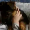 lisa.olea - @lisandro.oleaa - TikTok