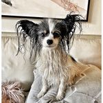 Lisa Oleson - @oleson578 - Instagram