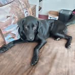 Lisa Ortego - Facebook