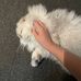 Lisa Ouyang - Facebook