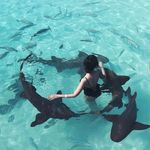 Lisa-ouyang - @lisz_ouyang - Instagram