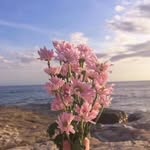 lisaouyang88 - @lisaouyang8875 - Instagram
