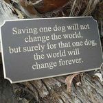 Lisa Overman Martin - @gardenartist1927 - Instagram