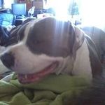 lisa Overton - @overton1191 - Instagram