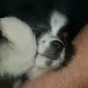 Lulu - @lisaoverton58 - TikTok
