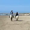 🫶🏻🐎🫶🏻 - @lisaozirgfp - TikTok