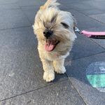 Lisa Pace - @eddyderry123 - Instagram