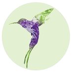 Lisa Pak - @hummingbirdhealingcenter - Instagram