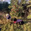 Lisa Parfitt537 - @lisaparf1 - TikTok