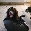Lisa Parfitt728 - @lisaparfitt728 - TikTok