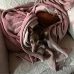 Lisa Parish - @live2love117 - Instagram