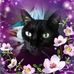 Lisa Parshall - Facebook