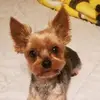 Lisa Pascal - @lisamakwinski - TikTok