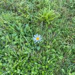 Lisa Pascal - @thyme_and_patience - Instagram
