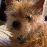 Lisa Paschal Fitzpatrick - @lisafitz1965 - Instagram