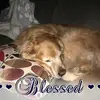 Lisa Paschall Jack - @lisa.paschall.jac - TikTok