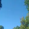 Lisa Passmore - @user787617101 - TikTok