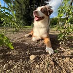 Lisa Passmore Hudson - @lmhudson617 - Instagram