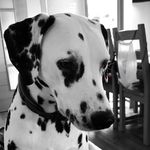 Lisa Patch - @patch3110 - Instagram