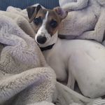 Lisa Peak - @lcpeak - Instagram